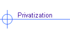 Privatization