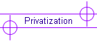 Privatization